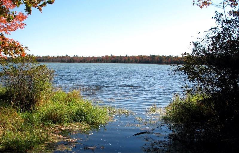 Beachfront Hotel Houghton Lake Natur bilde